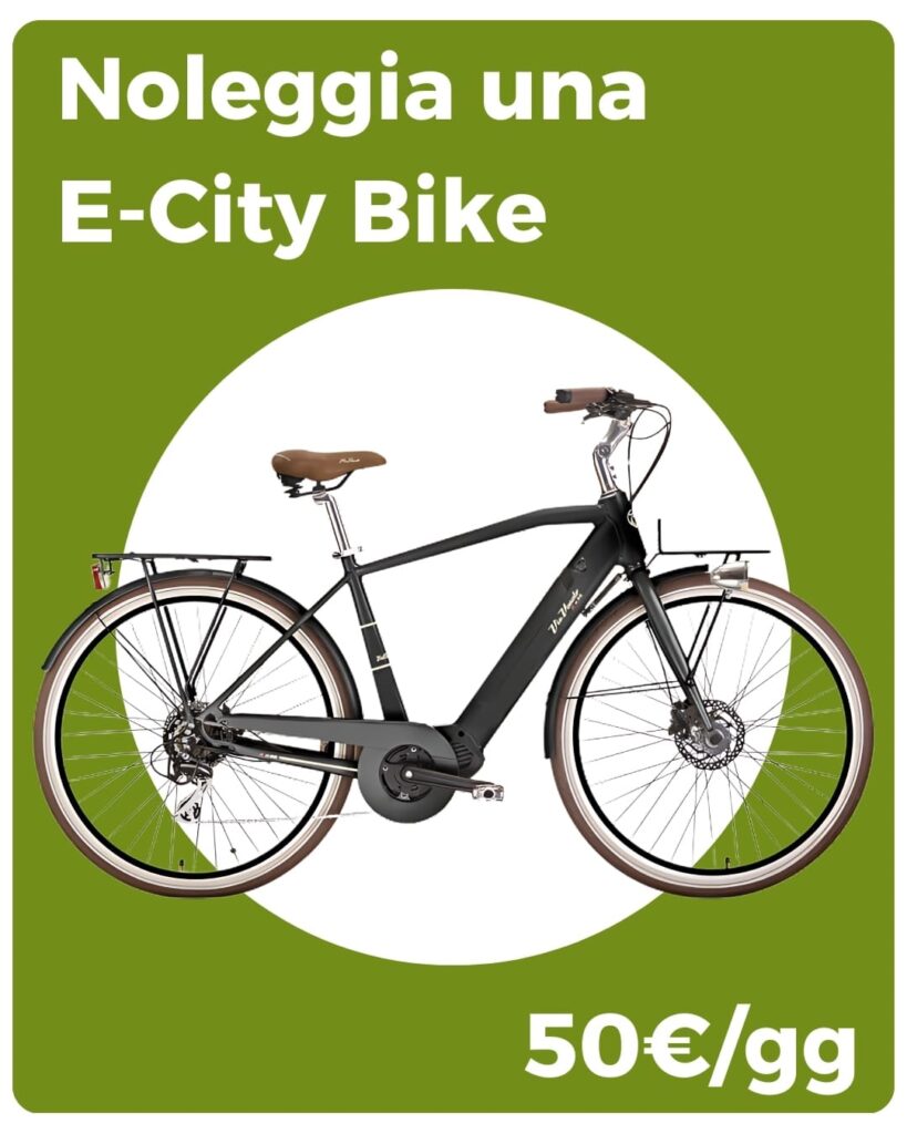 Noleggia e city bike mobile