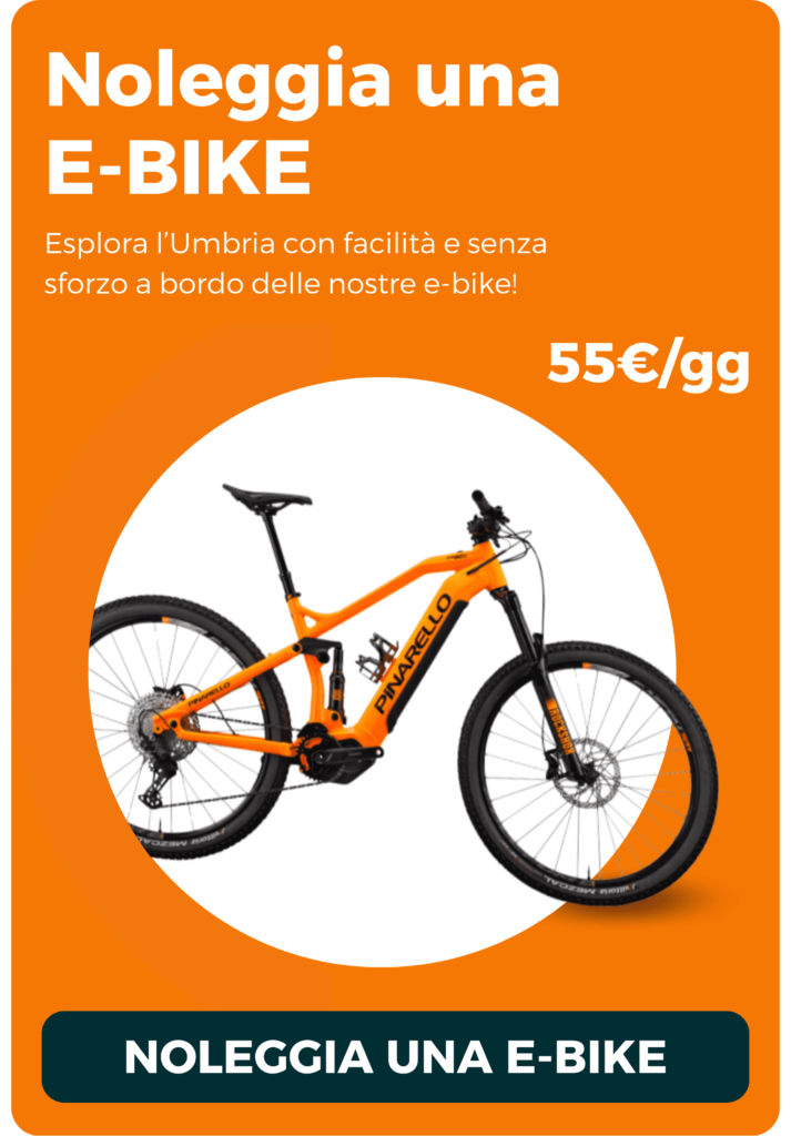 Noleggia e gravel mobile