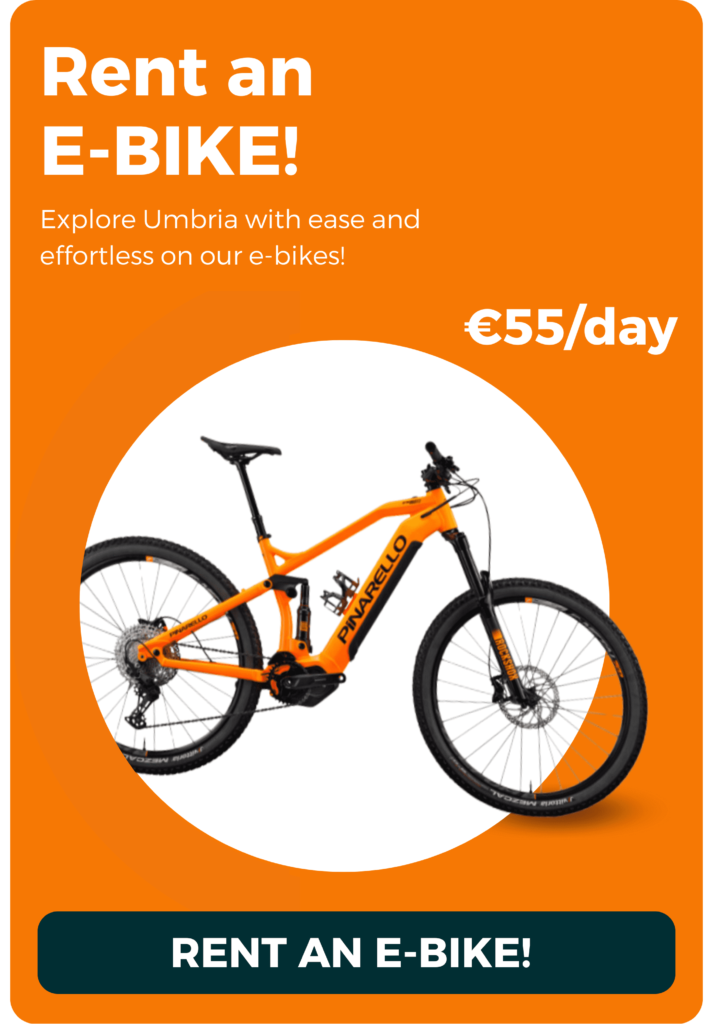 Rent an e bike e rental