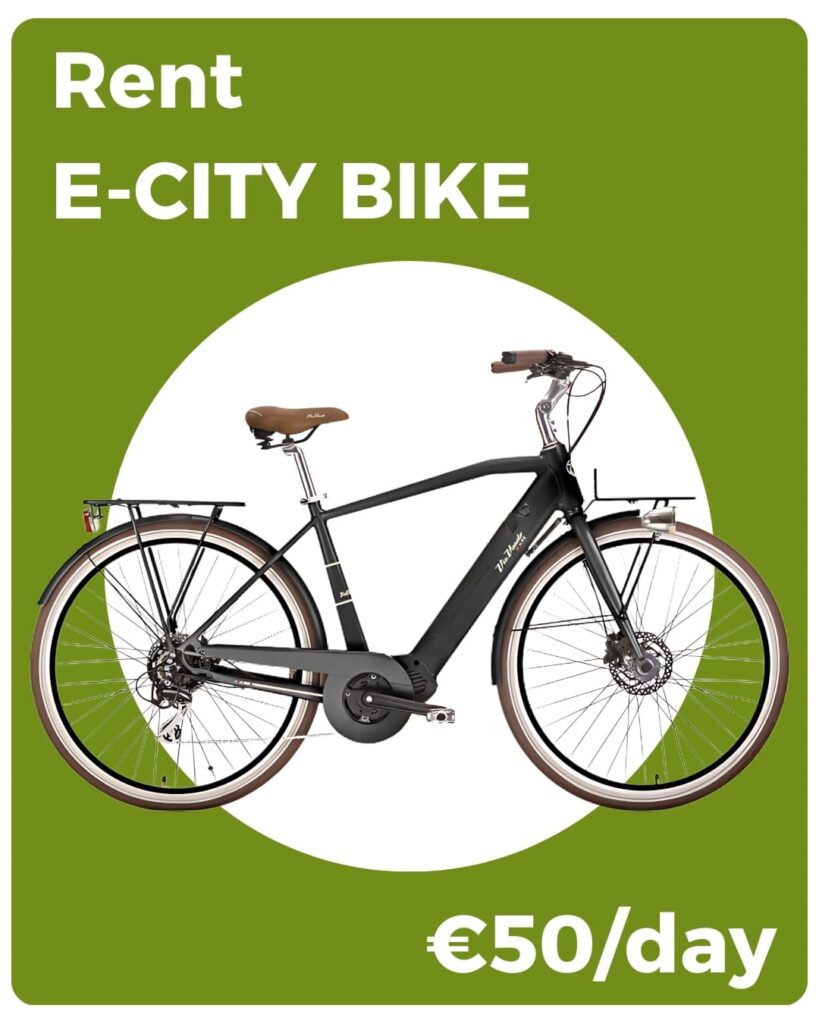 Rent e city bike mobile