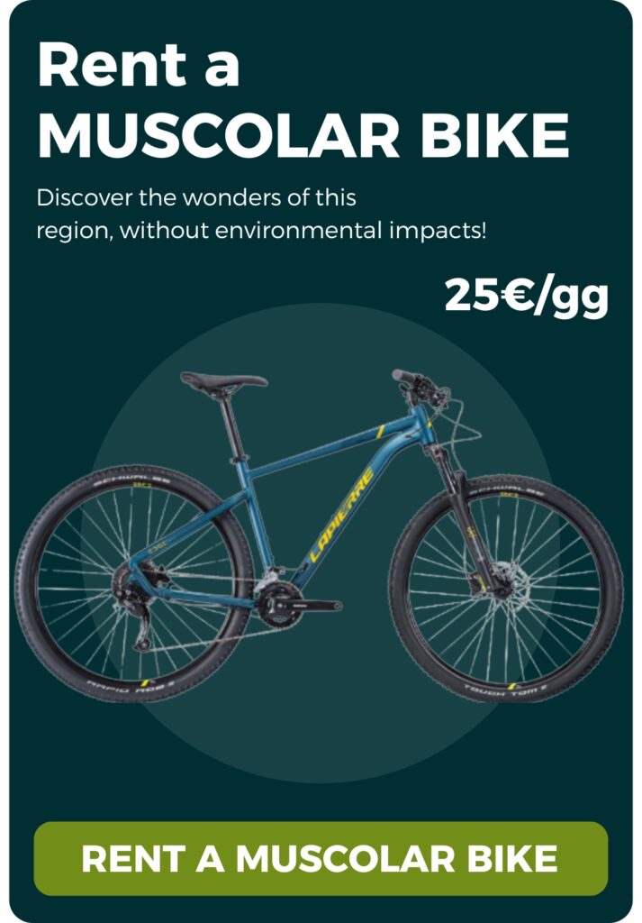 Noleggia muscolare mobile