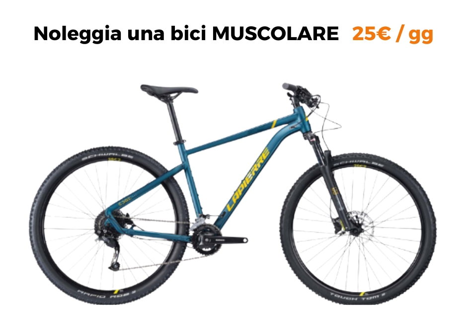 Bici muscolari.it