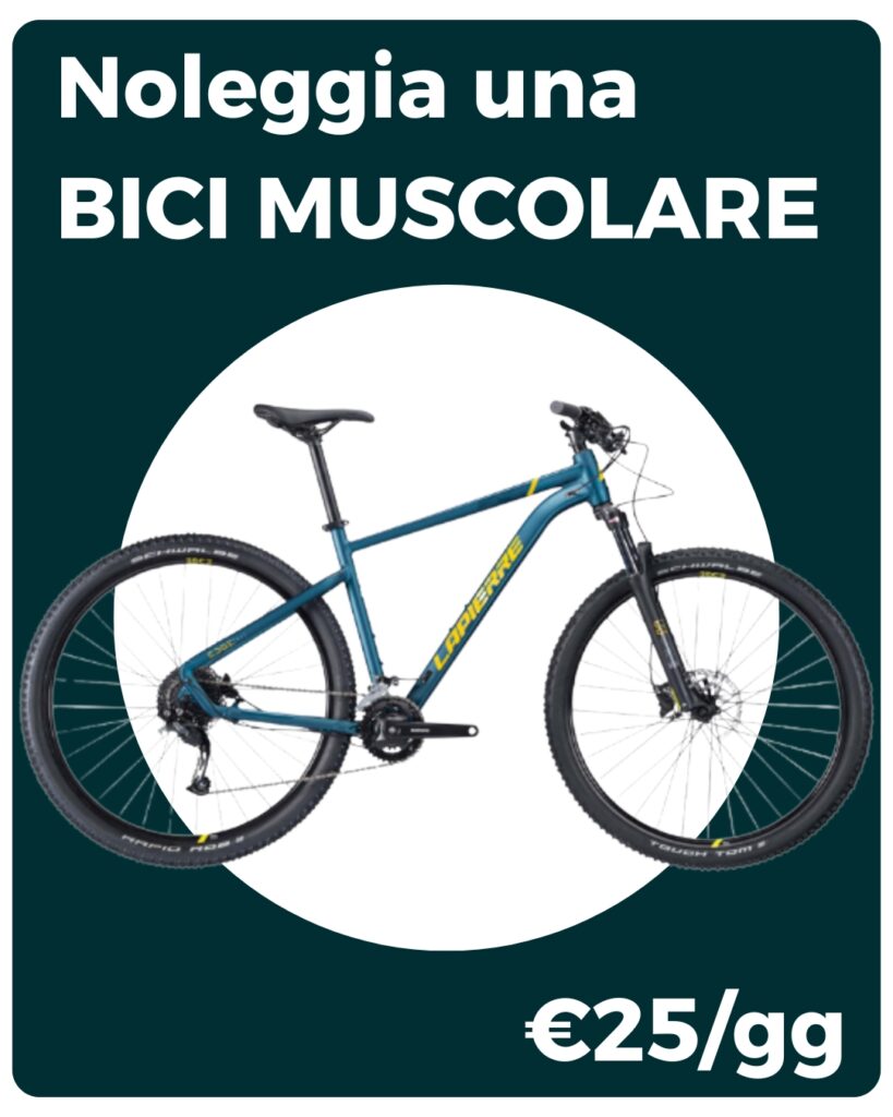 Noleggia bici muscolare mobile