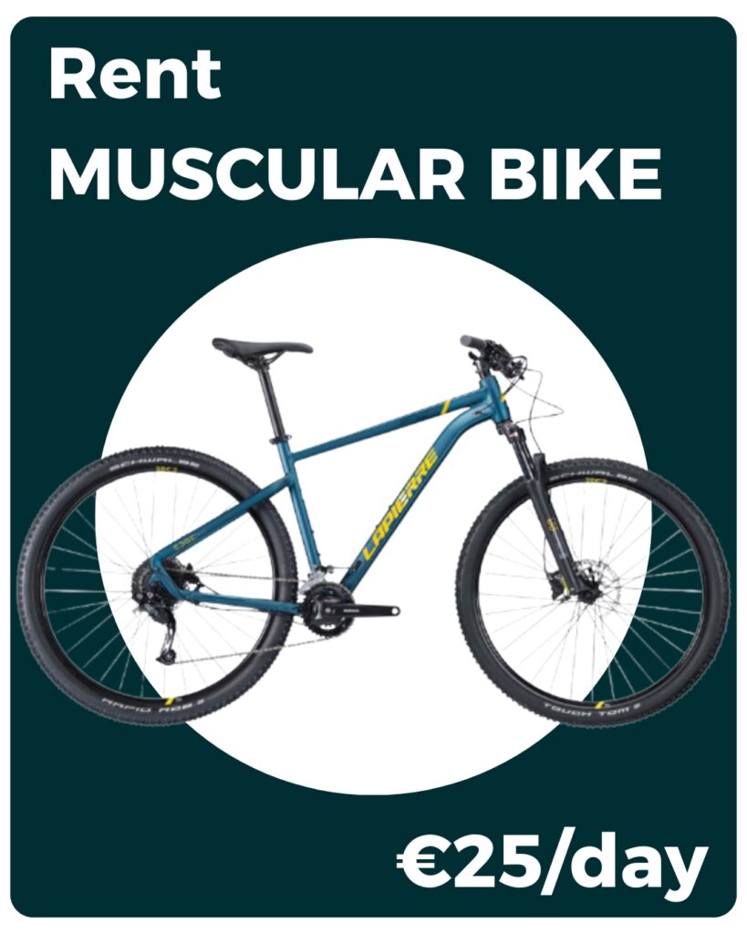 Noleggia bici muscolare mobile en